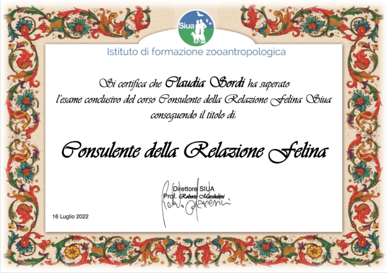 certificato